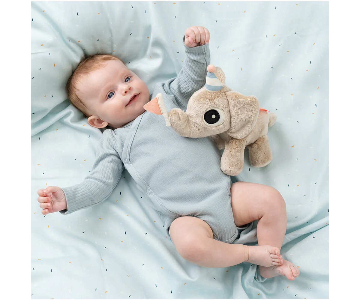 Confezione Regalo Celebration Elphee Sand