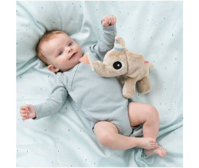 Confezione Regalo Celebration Elphee Sand