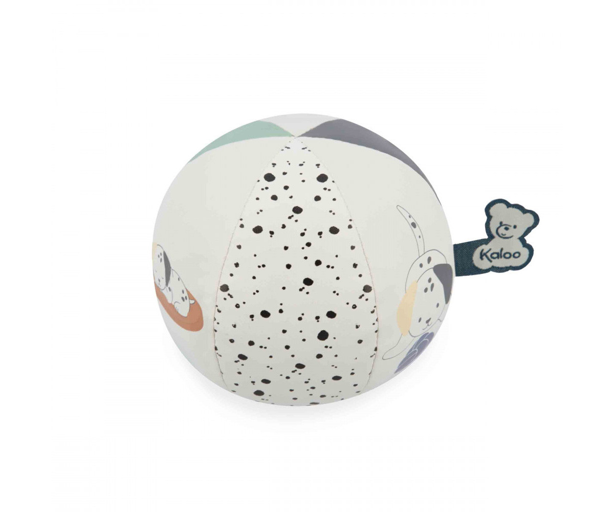 Mi Pelota Cachorro