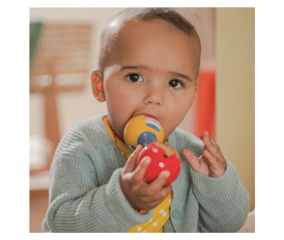 Maracas Perro Salchicha Baby Charms