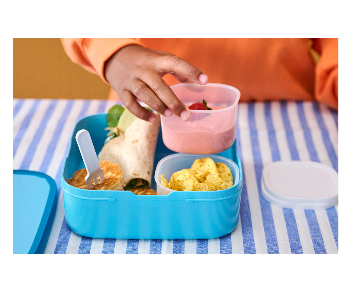 Caja de Almuerzo Bento Campus Grande Frozen Friends