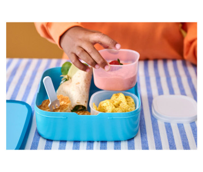 Caja de Almuerzo Bento Campus Grande Frozen Friends