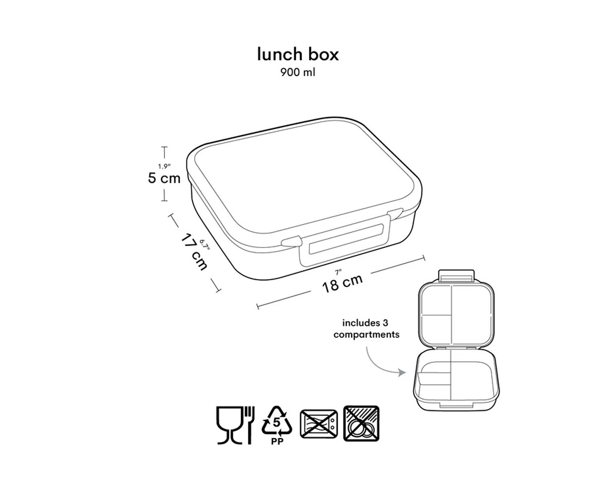 Caja Almuerzo Dinosaurs