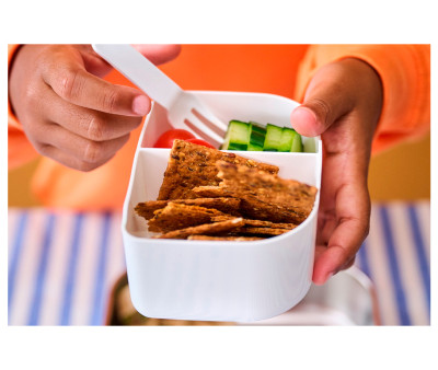 Midi Lunch Box Acciaio Campus LD Forest Friends