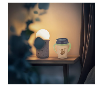 Taza 360º Night & Day Fox