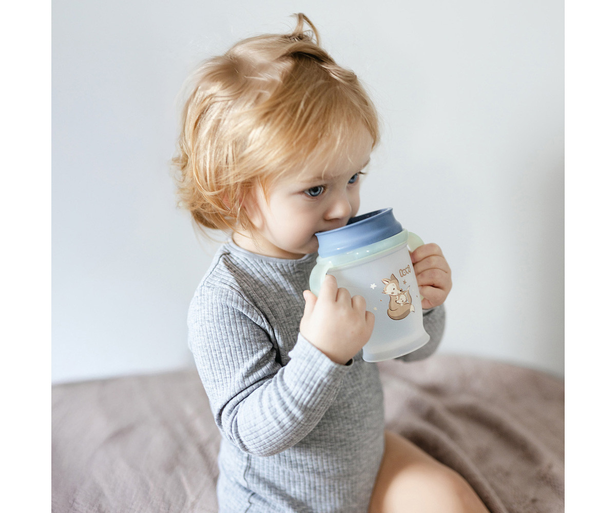 Taza 360º Night & Day Fox