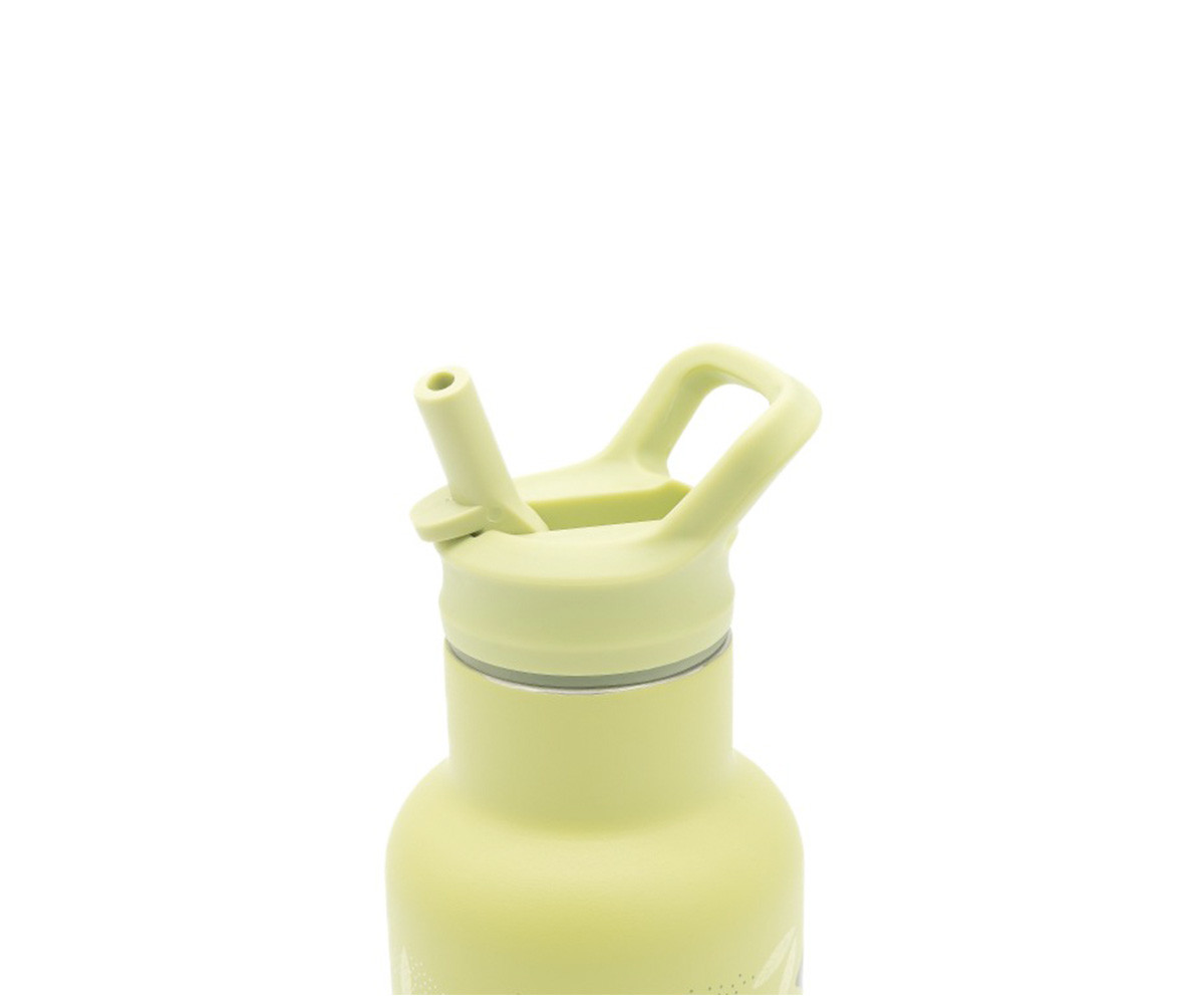 Botella Térmica con Pajita Dinosaurio 350ml