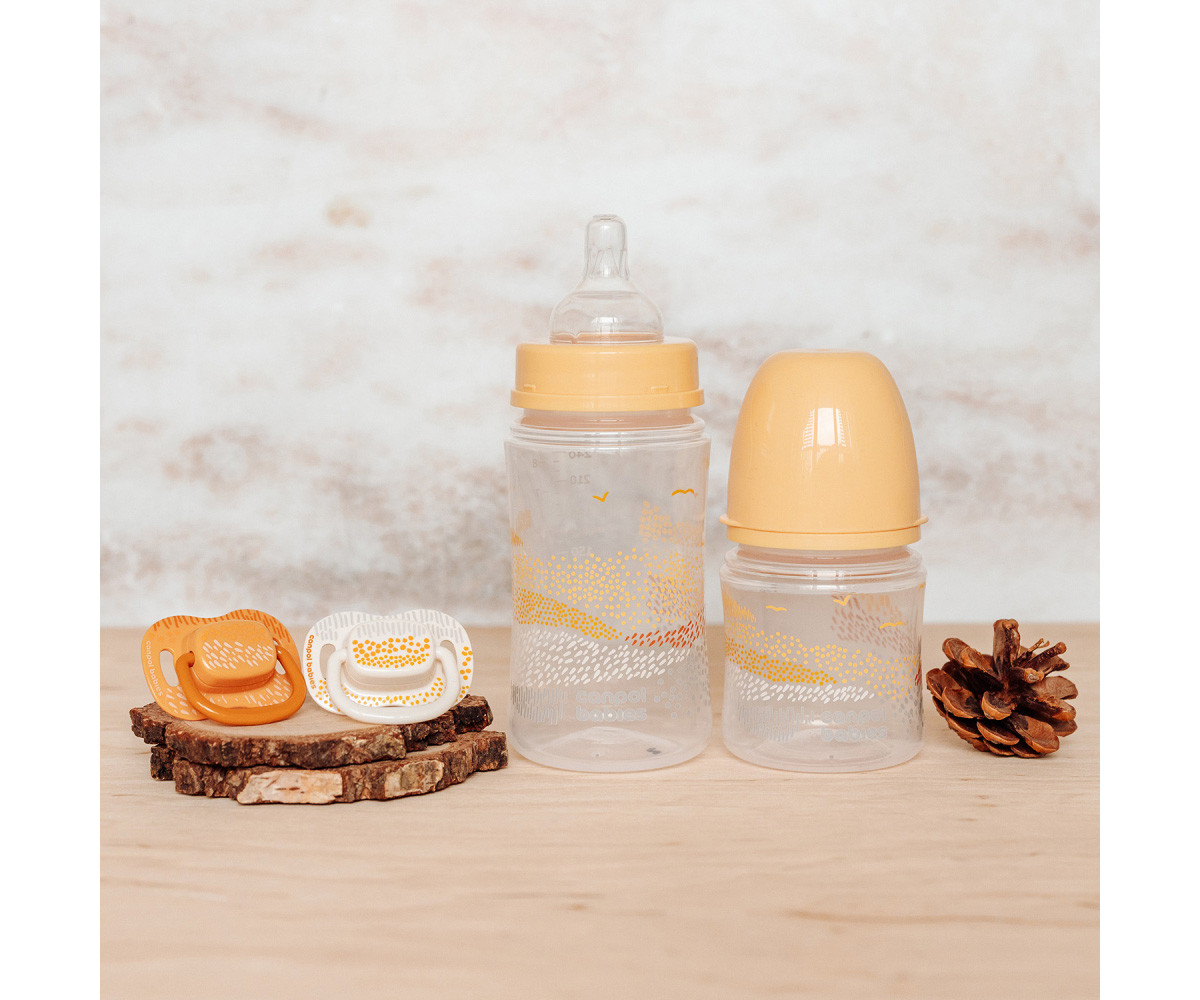 Biberon Anticolica EasyStart 120ml Mountains