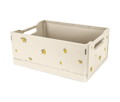 2 Scatole Pieghevoli Lemon
