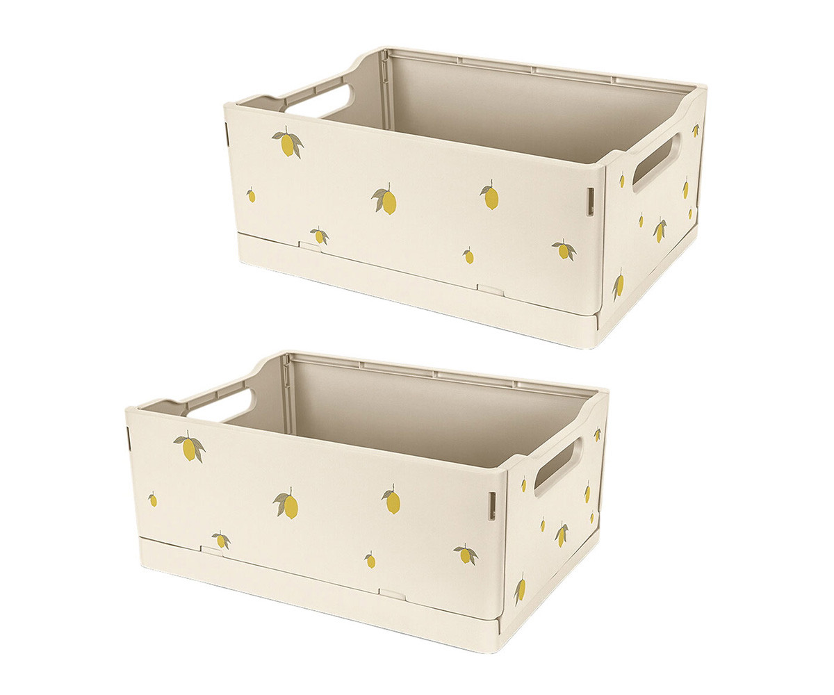 2 Scatole Pieghevoli Lemon