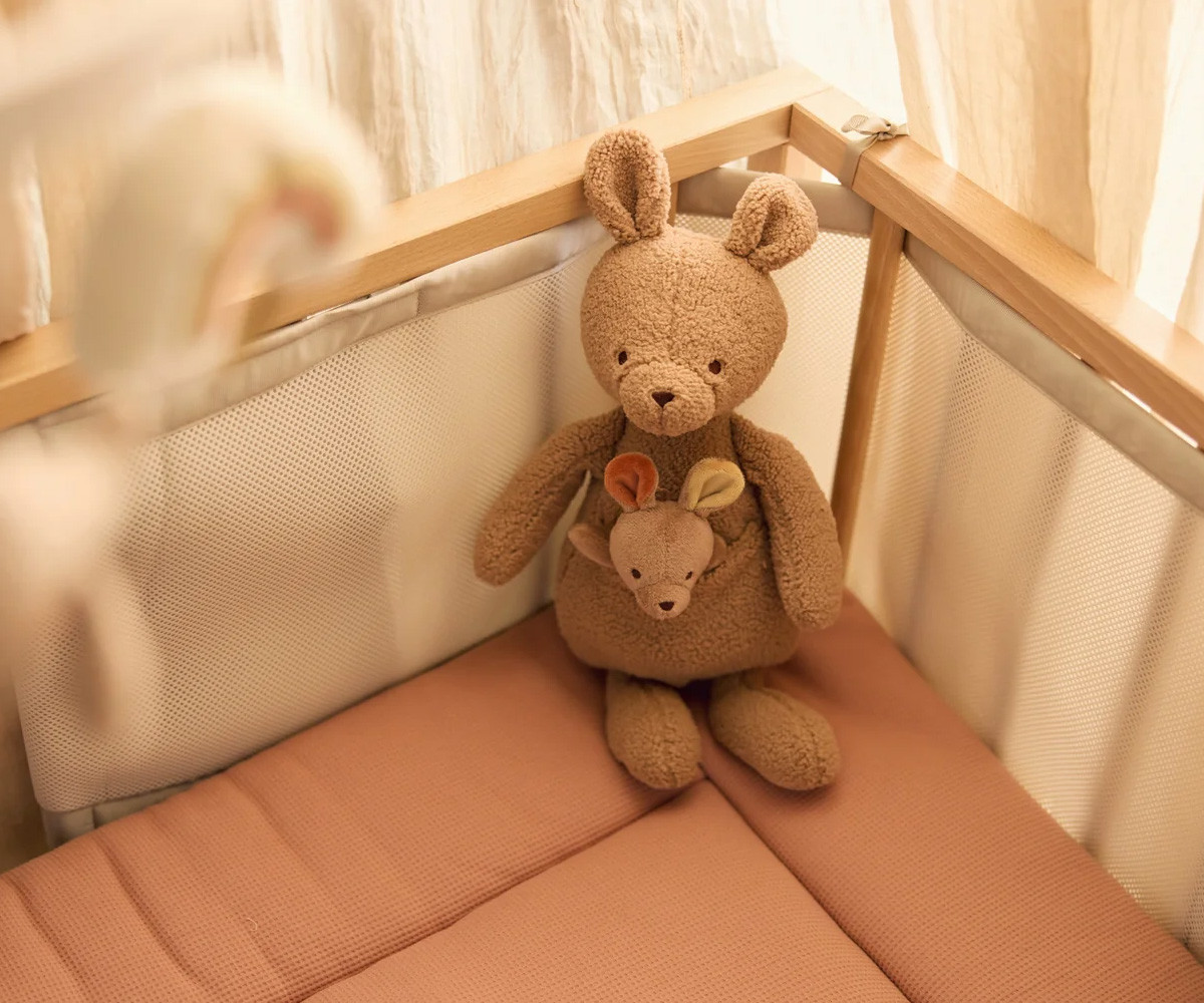 Peluche- Kangaroots