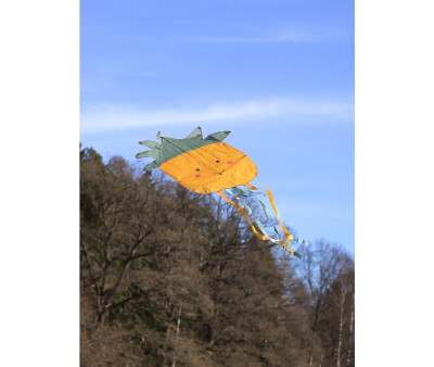 Cometa Infantil Piña