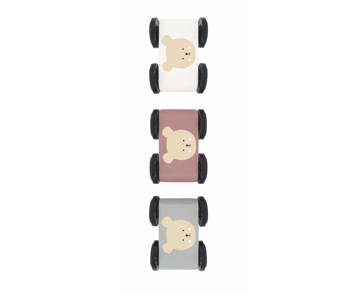 Pista de Coches Teddy