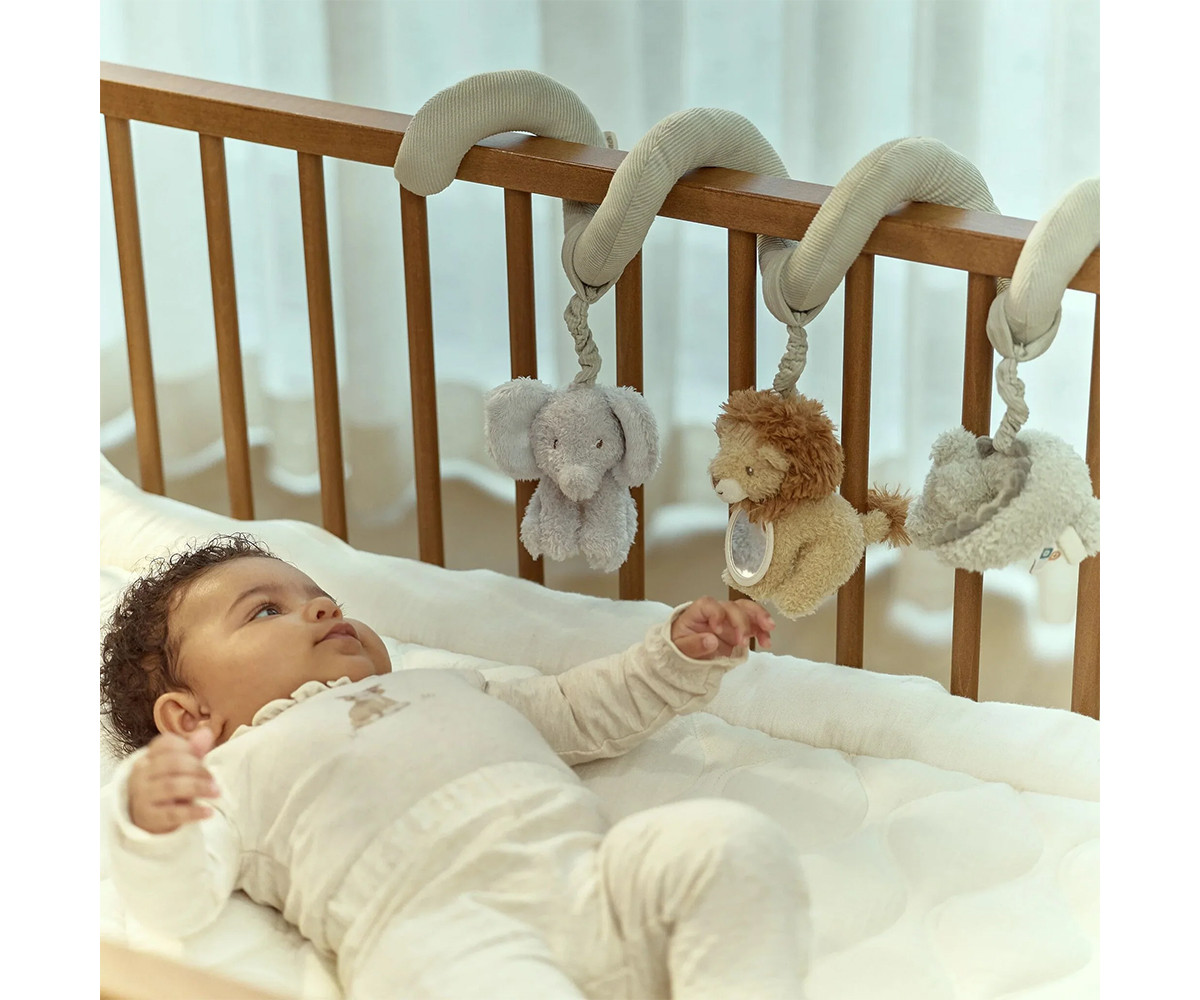 Espiral Actividades Safari Friends