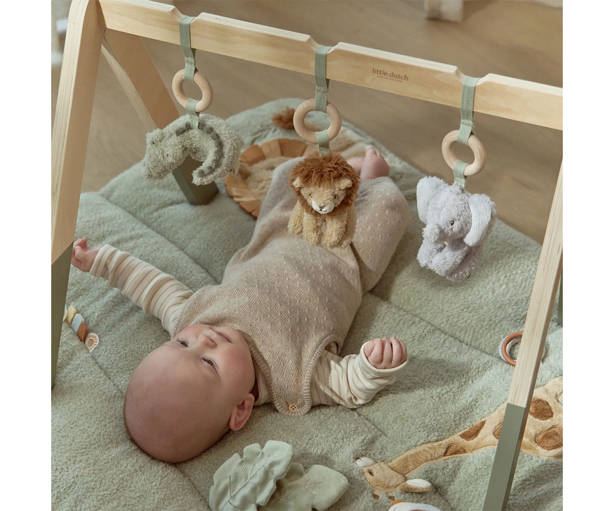 Gimnasio Infantil Madera Safari Friends