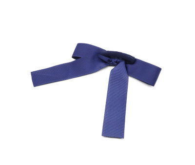 Lazo Fino con Goma Azul