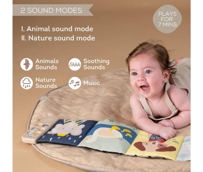 Libro Sensorial Musical