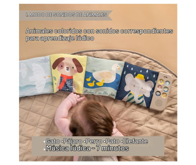 Libro Sensorial Musical