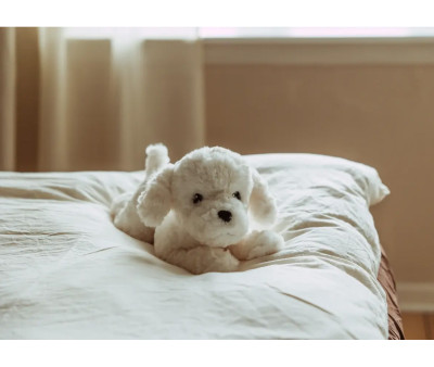 Peluche Perro con Peso Perro 0.6Kg