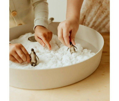 Nieve Sensorial