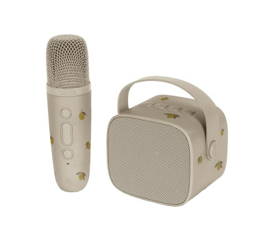 Altavoz Bluetooth y Karaoke Lemon
