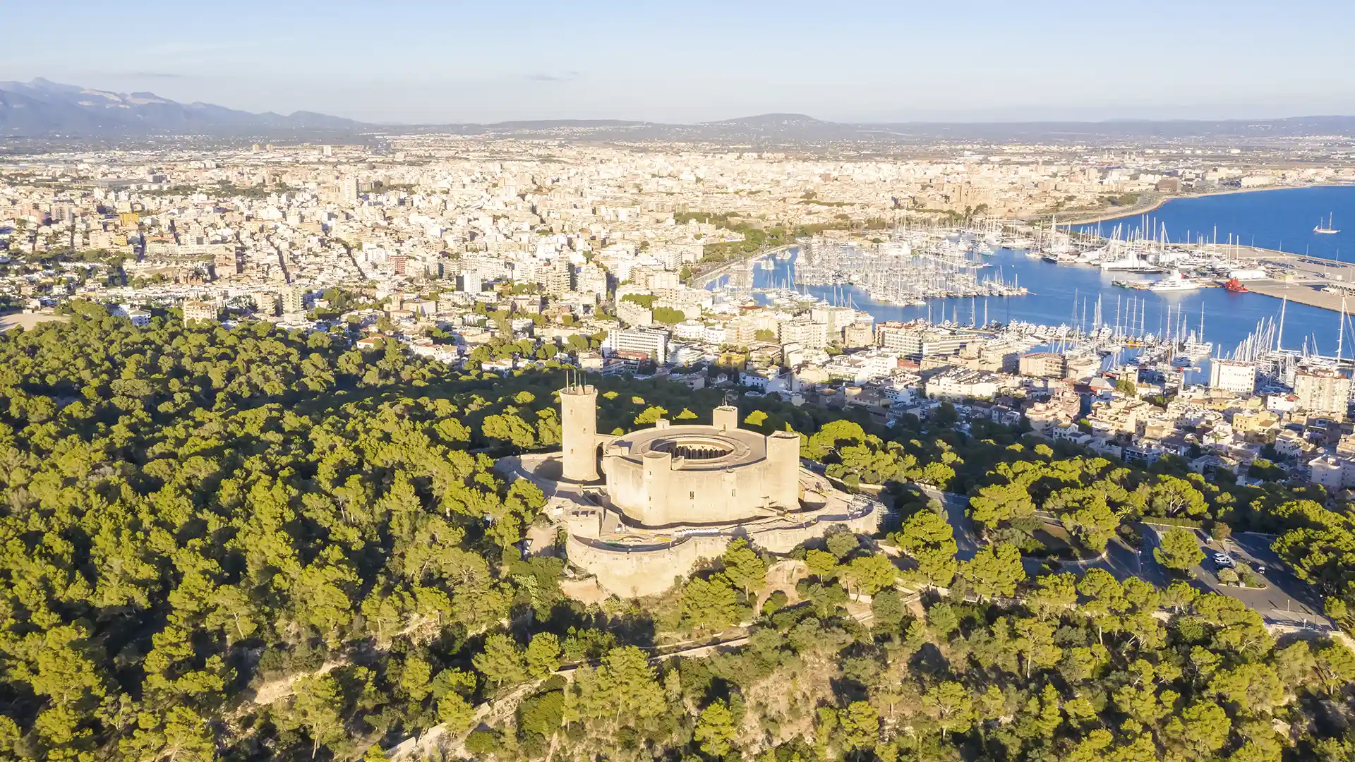 Imagen del blog: Plusvalía en Palma de Mallorca